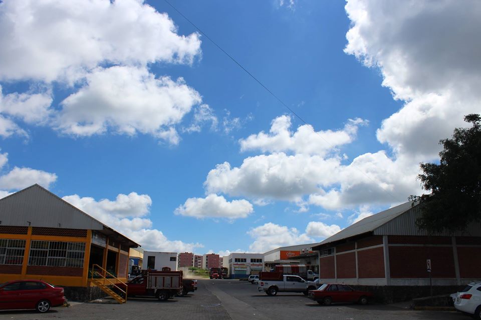 Realizarán limpieza en Central de Abastos de Xalapa por contingencia sanitaria