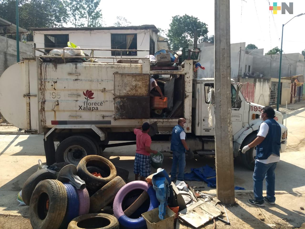 Hasta 5 toneladas de cacharros se recogen en las colonias de Xalapa, cada fin de semana