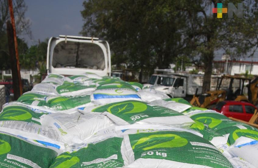 Avanza entrega de fertilizante gratuito para fortalecer capacidad productiva: Agricultura
