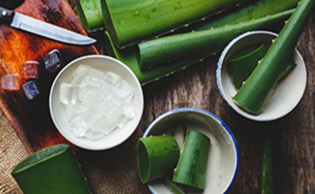 Descubre el Aloe Vera
