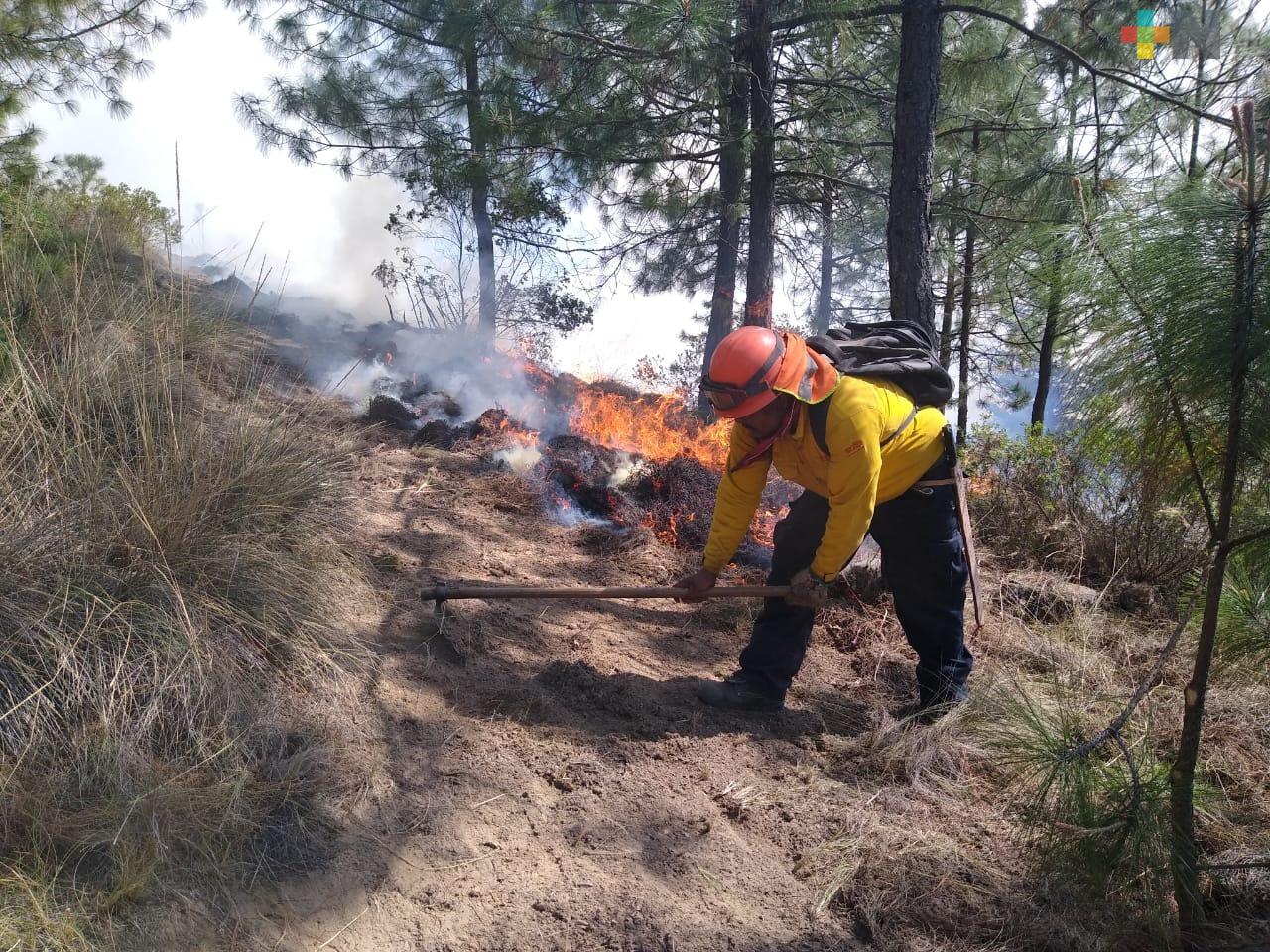 Brigadistas rurales y Conafor realizan actividades para combatir incendios en zona norte