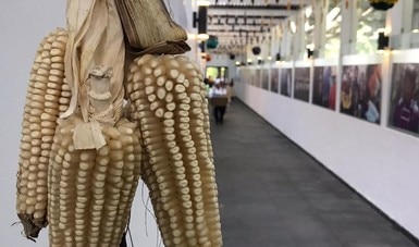 “Cocinando en casa con el Maíz y la Milpa” invita a compartir recetas propias, familiares o tradicionales