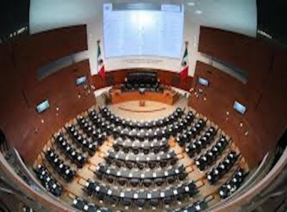 Senado alista sesión presencial para analizar Ley Amnistía