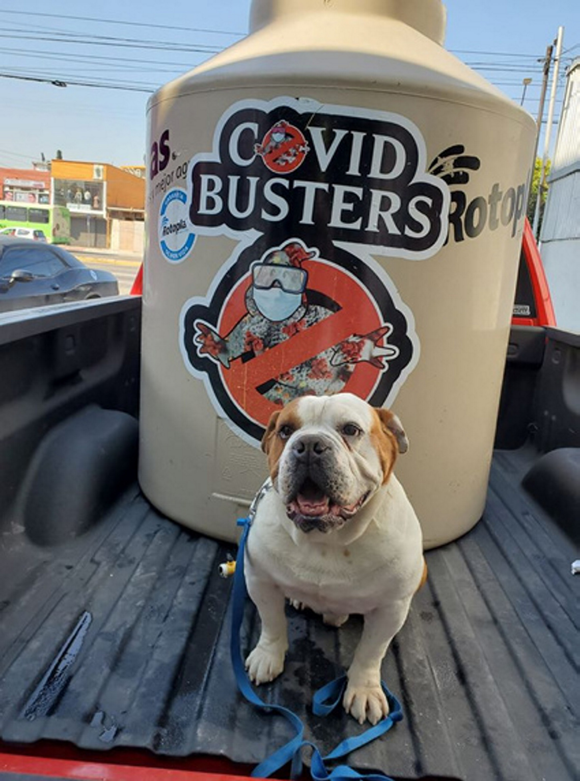 Covid Busters desinfectan calles de Tijuana