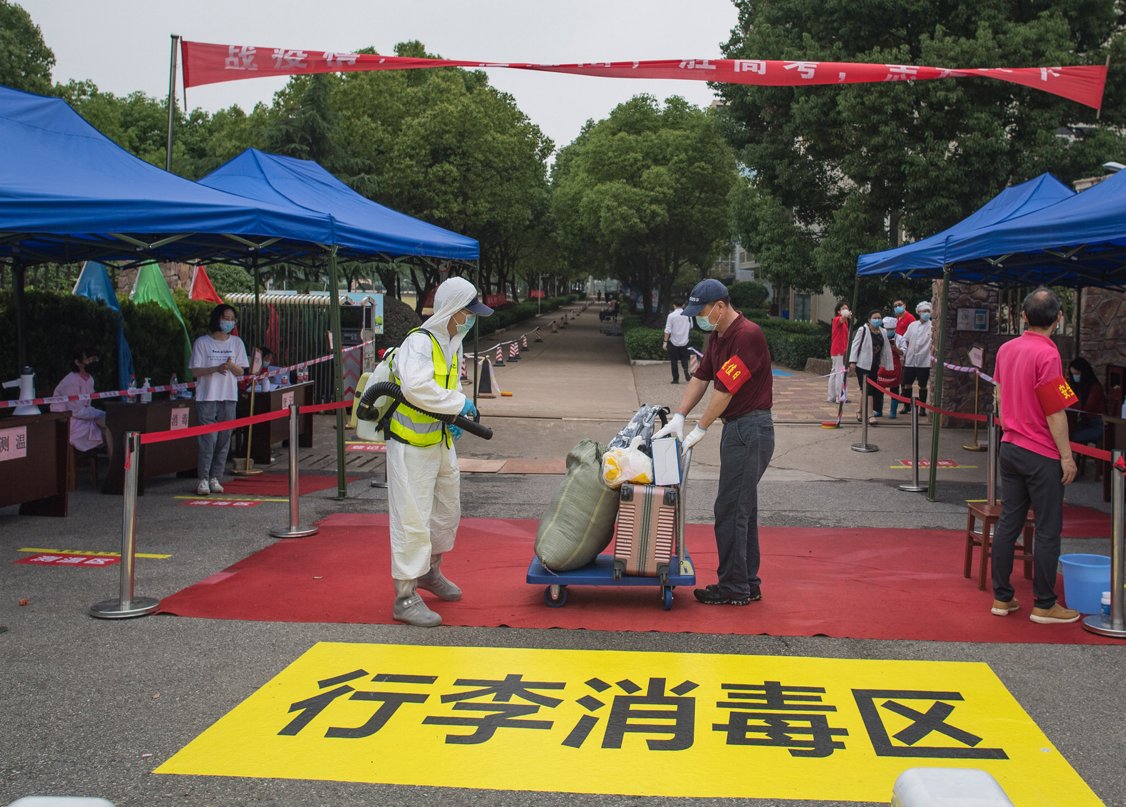 Mercado de Wuhan pudo haber amplificado Coronavirus: OMS