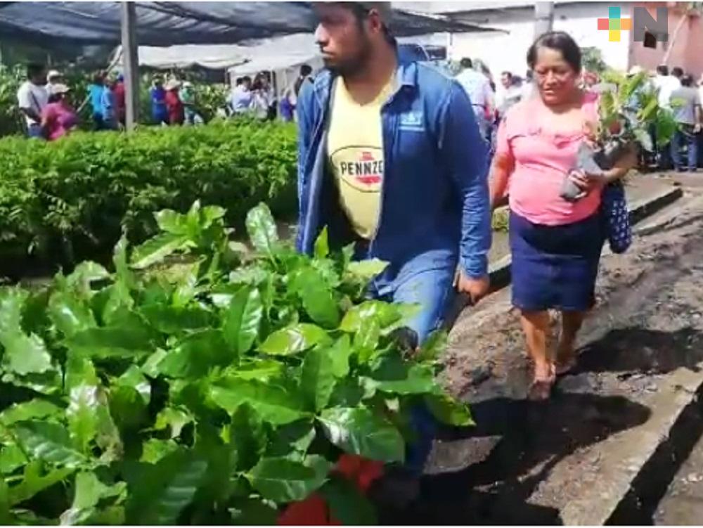 Ayuntamiento de Fortín renueva programa “Plantemos el Futuro”, entregan árboles frutales a población