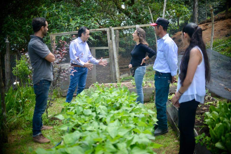 Proyectos productivos ayudan a población ante COVID-19: Cuitláhuac García