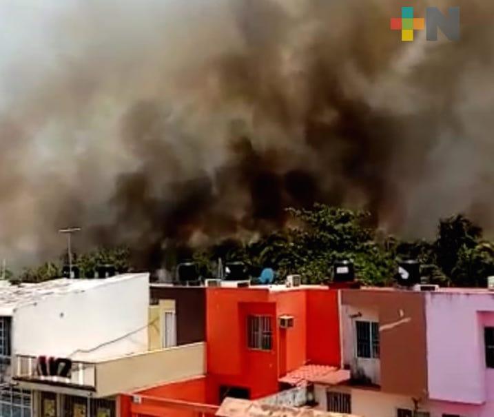 Protección al Medio Ambiente investiga incendio en humedal de Veracruz