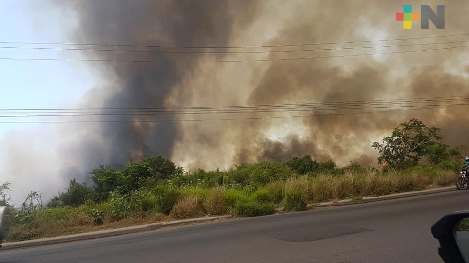 Abril y mayo serán los meses con más alto riesgo de incendios forestales en Veracruz