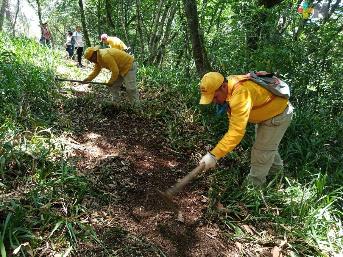 SEDEMA previene incendios en Áreas Naturales Protegidas; atendió el “Cerro de la Galaxia”