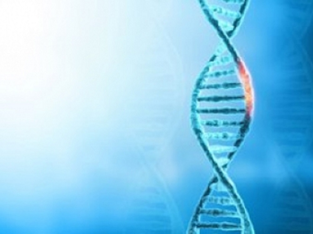 Identifica Inmegen 28 genes con variantes involucrados en lupus