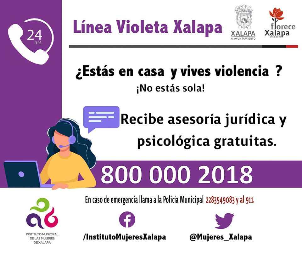 Apoyar a las mujeres víctimas de violencia familiar, aconseja coordinadora de Línea Violeta Xalapa