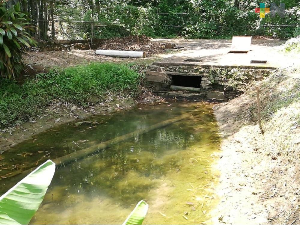Manantial de El Tule, sin recuperar su nivel de agua