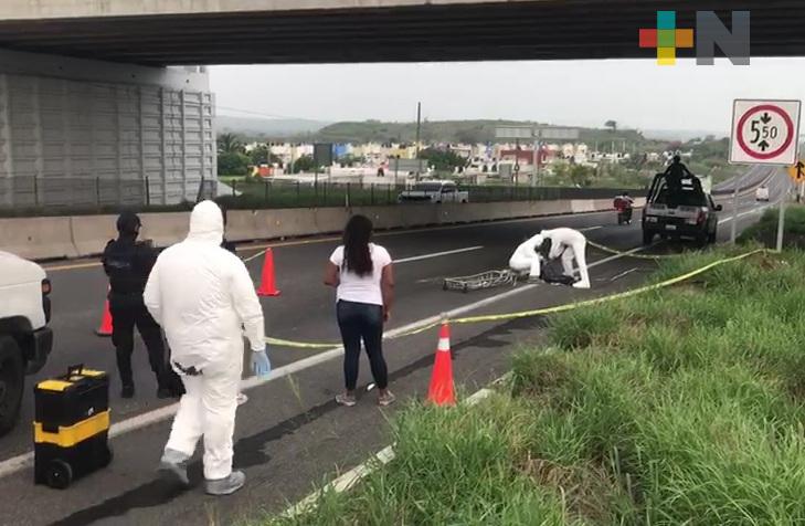 Muere al caer de puente de Colinas de Santa Fe; le daba mantenimiento