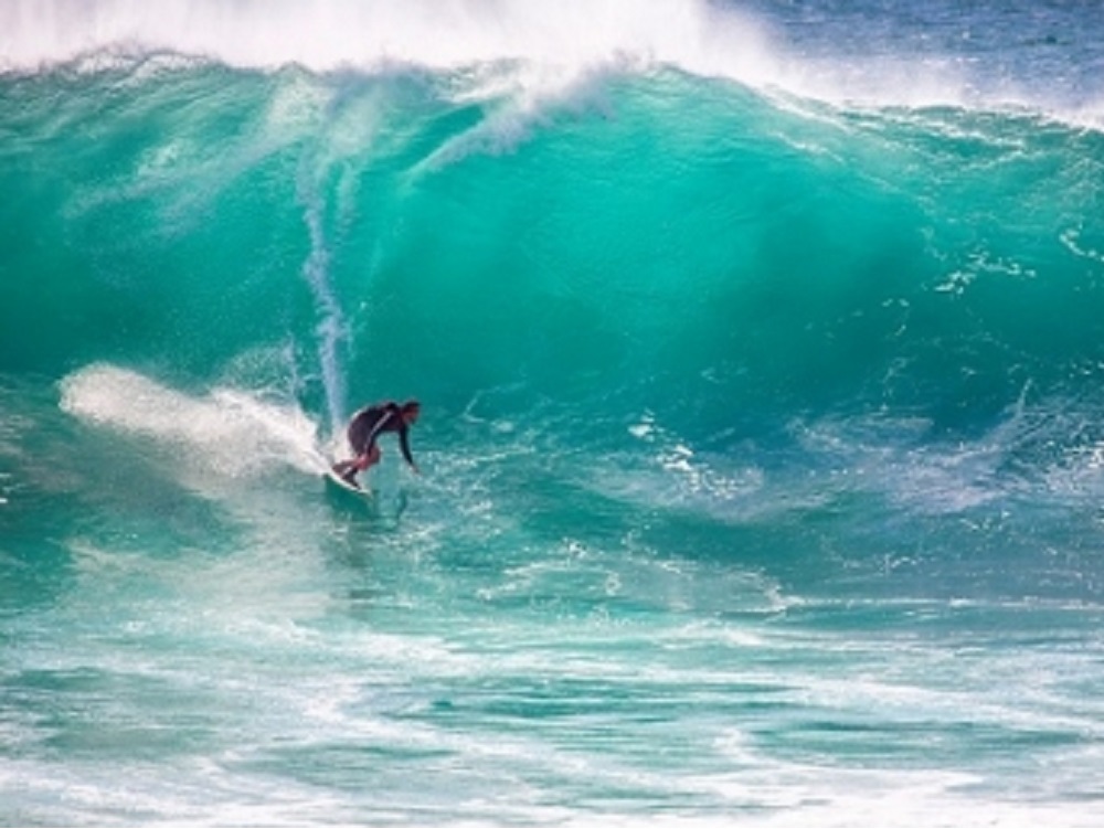 Muere surfista por ataque de un tiburón en California