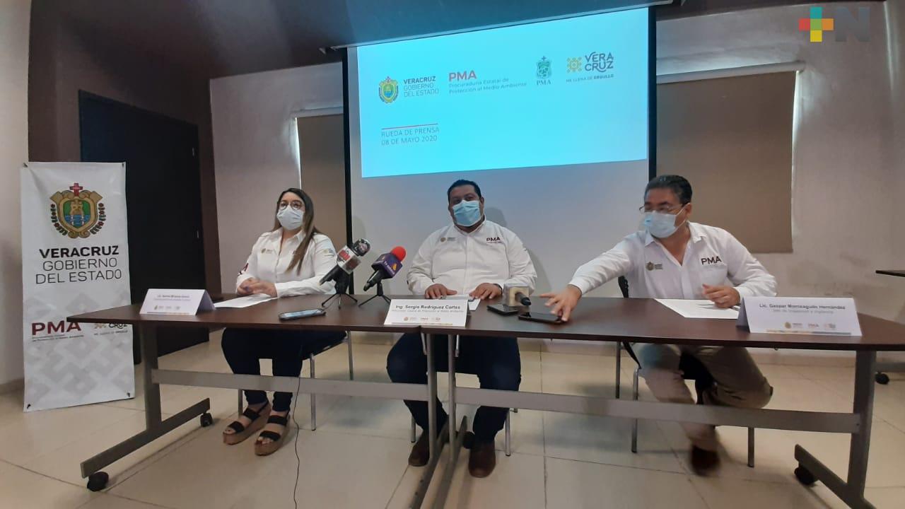 Procuraduría al Medio Ambiente multa y clausura tiendas comerciales por mal manejo de residuos