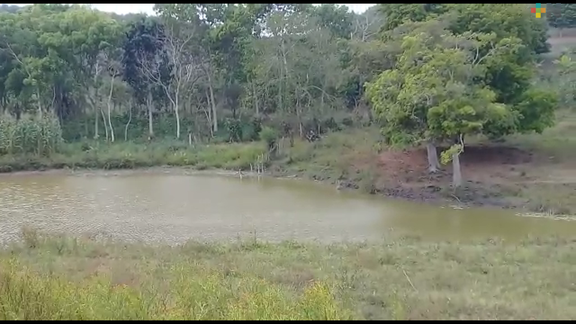 Piden ollas de agua para mitigar estiaje en Tuxpan