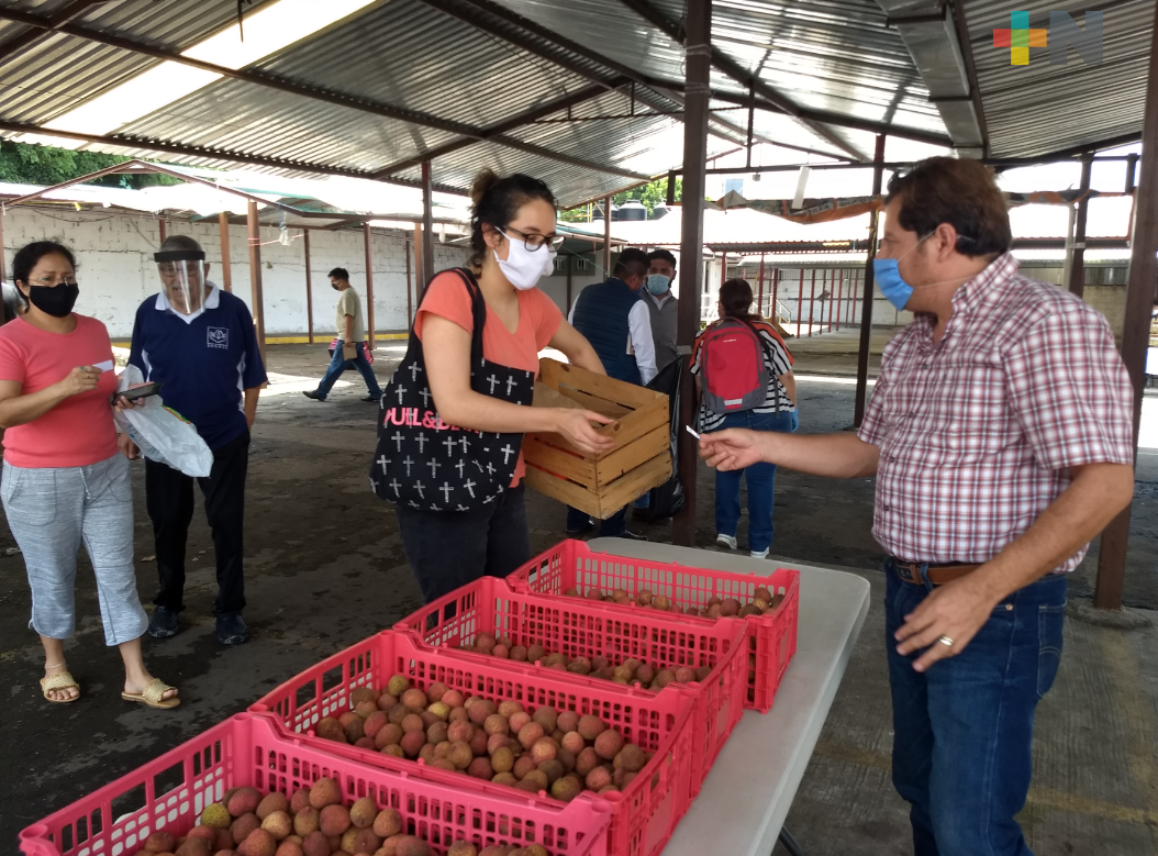 Comercializan 20 toneladas de productos del campo veracruzano en Consumo Solidario