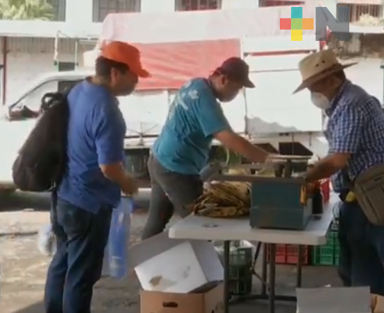 Comerciantes de diferentes municipios de Veracruz ofrecen mango, plátano, lichi y vainilla en Xalapa