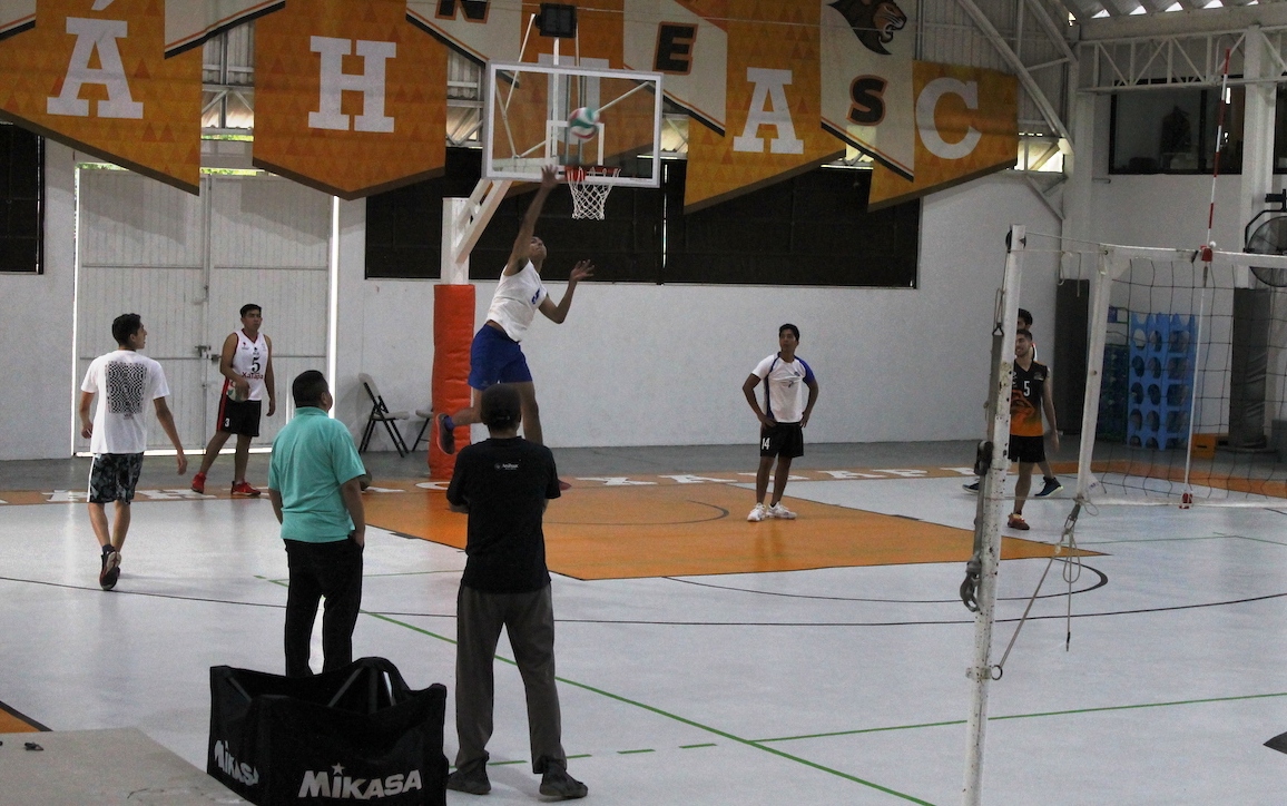 Leones Anáhuac Xalapa optimiza plataformas virtuales en voleibol