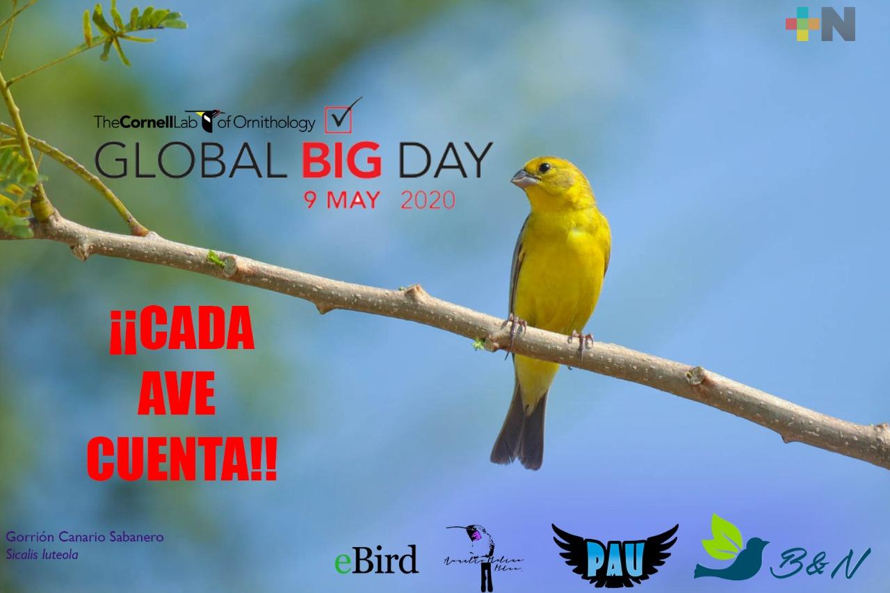Este 9 de mayo convocan al Global Big Day
