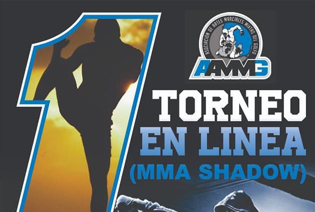 Anuncian Torneo Virtual MMA Shadow “Reto Jarocho”