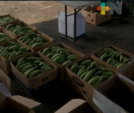 Consumo Solidario se extenderá a más municipios veracruzanos