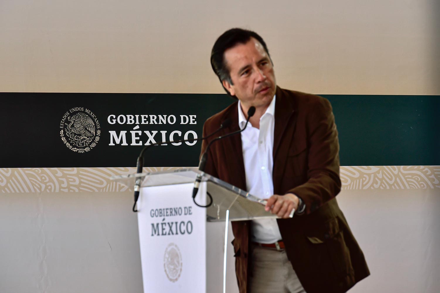 Veracruz aporta más de 20 millones de árboles para la reforestación del país