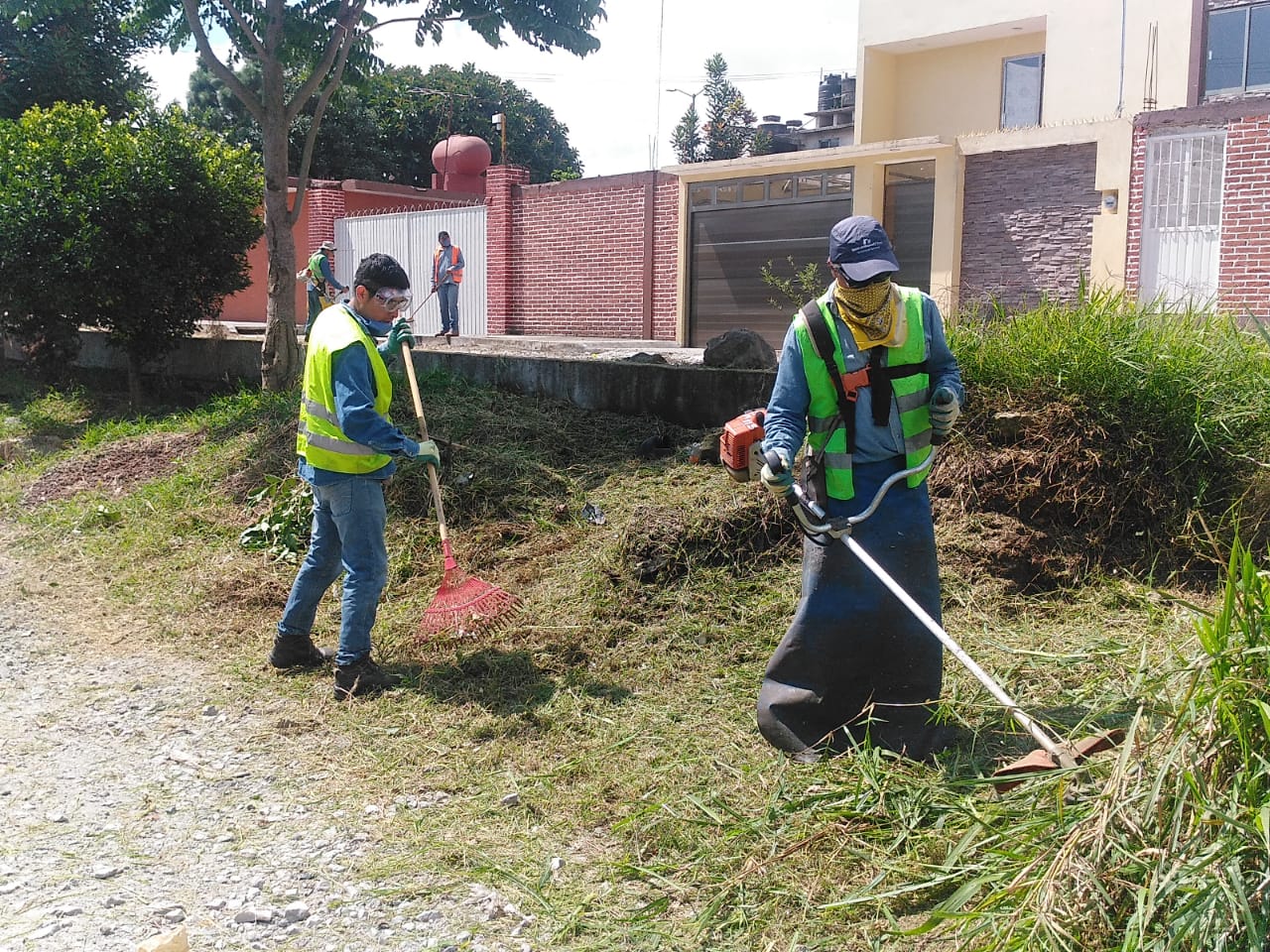 Continúan trabajos de mantenimiento en áreas verdes de Xalapa
