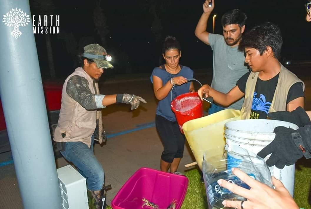 Earth Mission inicia campaña de protección del cangrejo azul en Riviera Veracruzana
