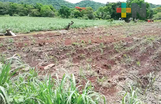 Piden apoyo productores cañeros de zona centro de Veracruz a gobierno federal y estatal