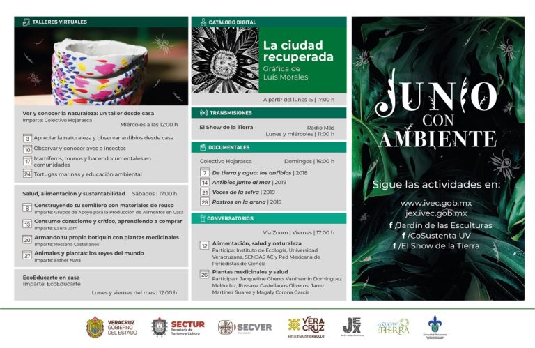Presenta el IVEC cartelera de actividades para Junio con Ambiente