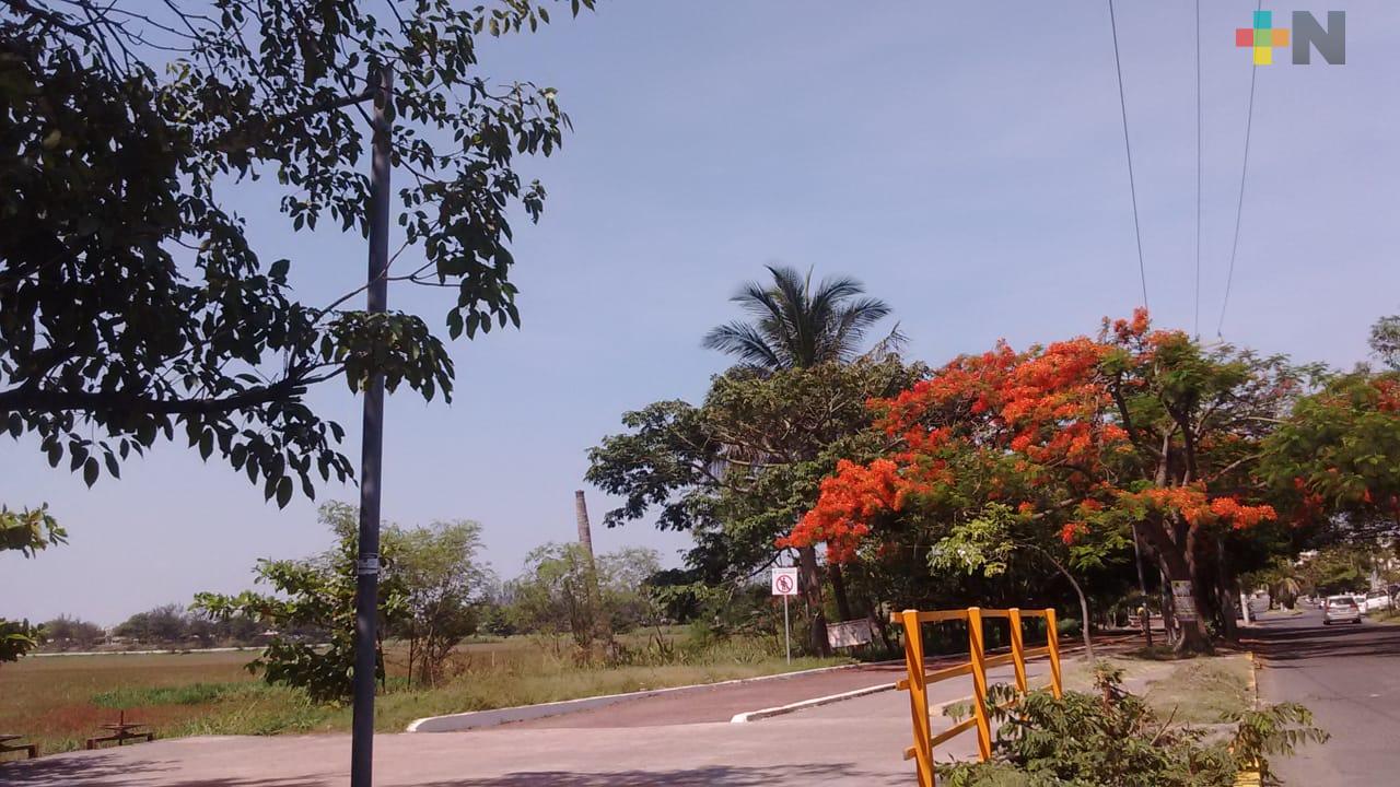 En Veracruz, ciudadanía  toma medidas para evitar la propagación del dengue