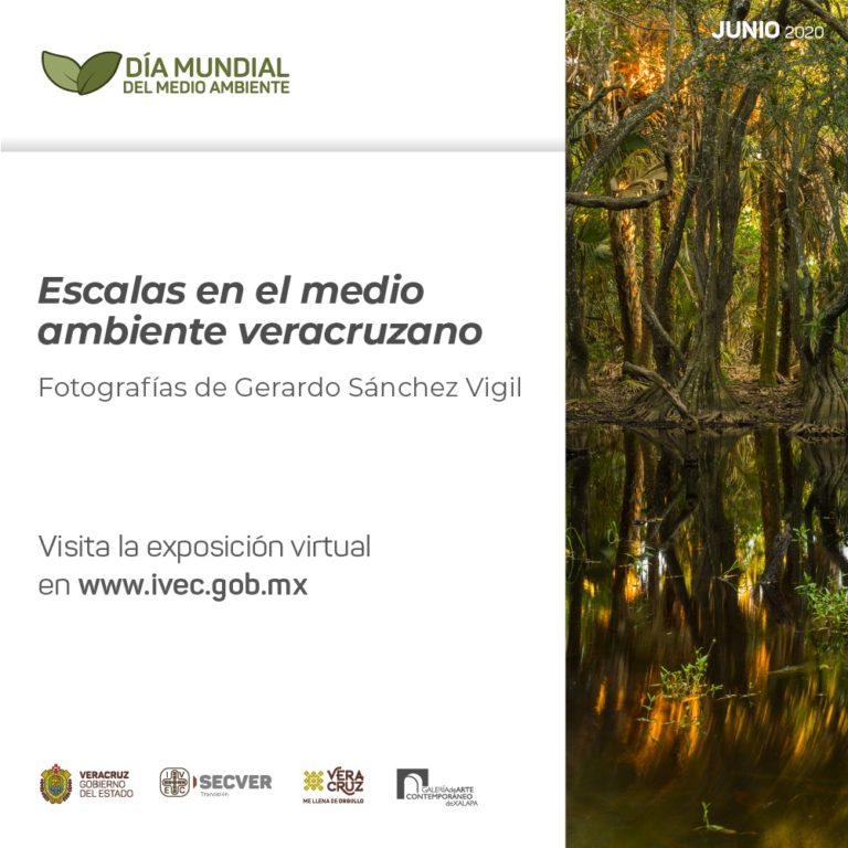 Presenta IVEC nuevas exposiciones virtuales en su red de recintos