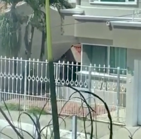 Perros son maltratados a latigazos; autoridades de Boca del Río hacen caso omiso