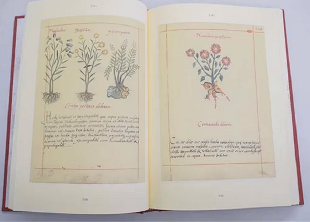 Gobierno de México lanza  nuevo facsímil del Códice de la Cruz-Badiano, texto herbolario más antiguo de América