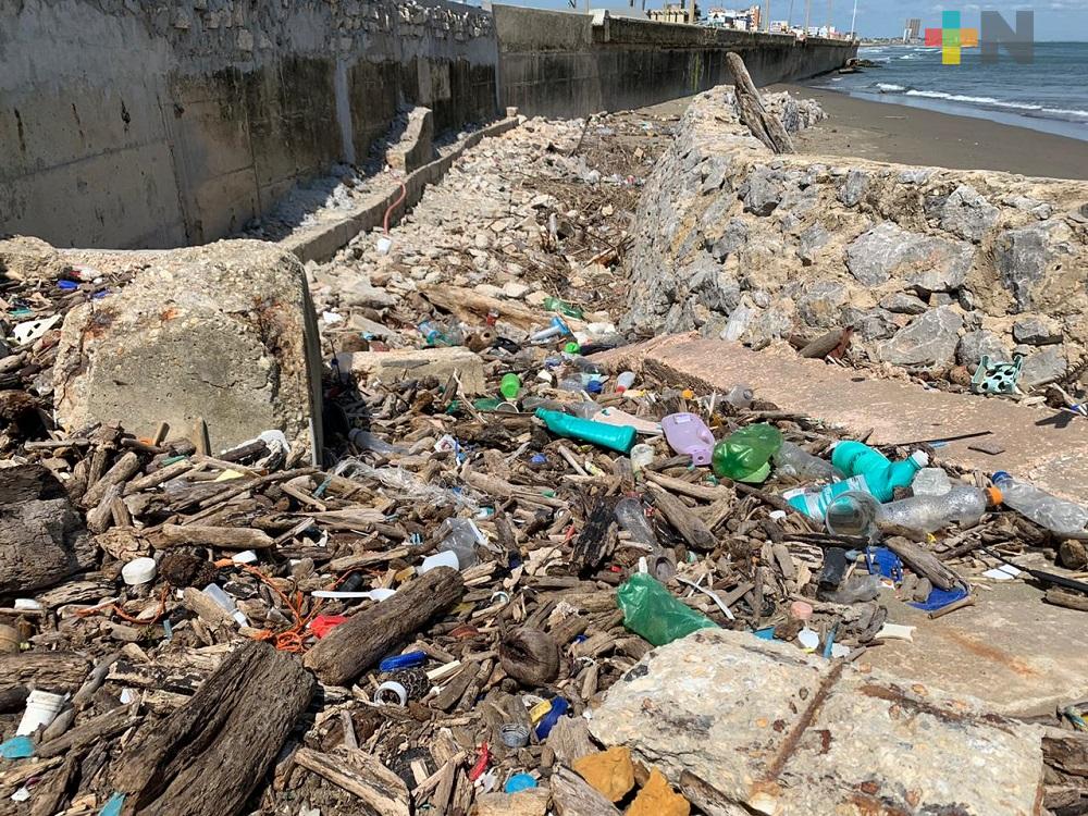Greenpeace pide a coatzacoalqueños liberar playas de contaminación plástica
