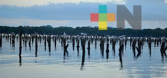 Tamiahua refrenda su agenda ambiental