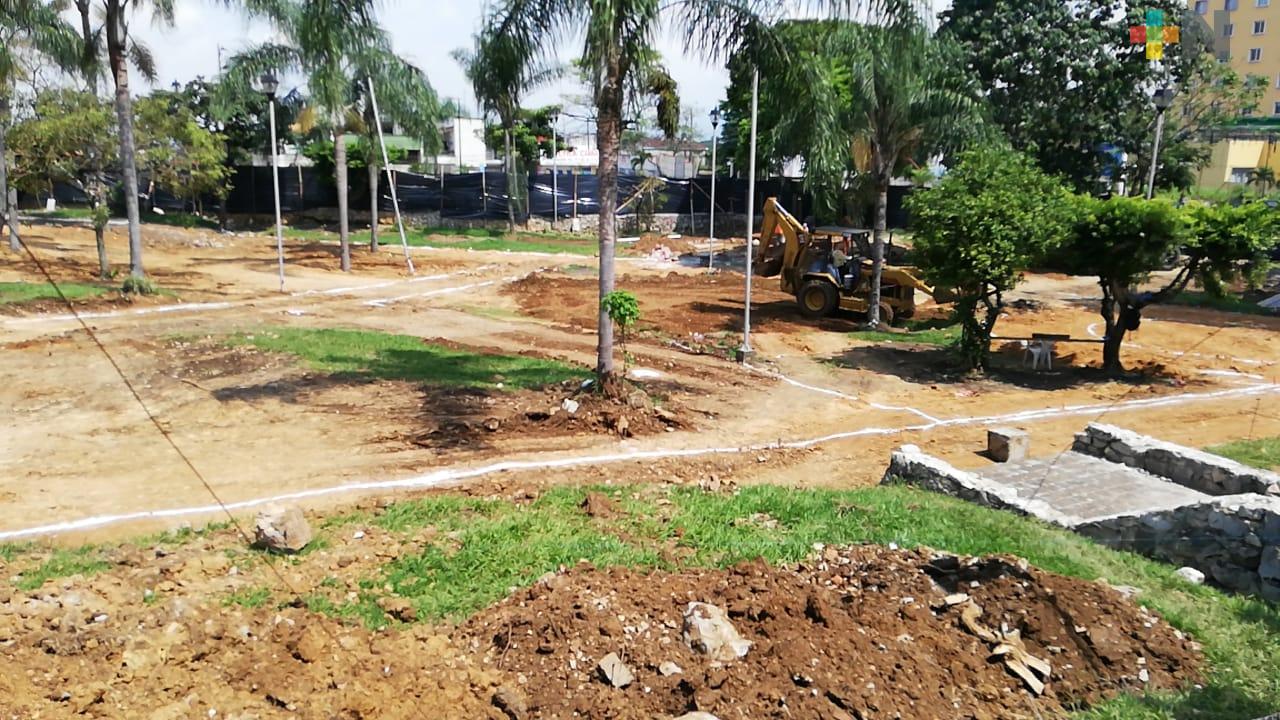 Remodelación del parque Quinto Centenario provocó tala, denuncian ambientalistas