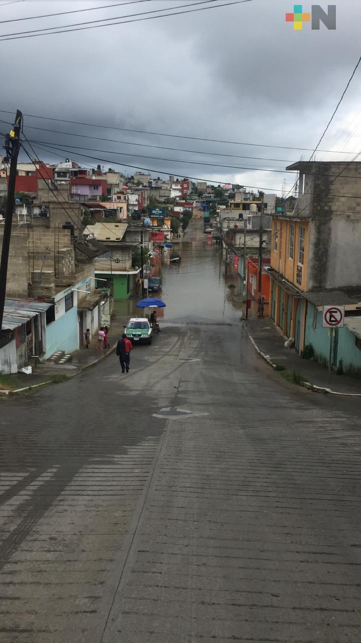 Inundaciones, anegamientos y caída de árboles en Xalapa por lluvia