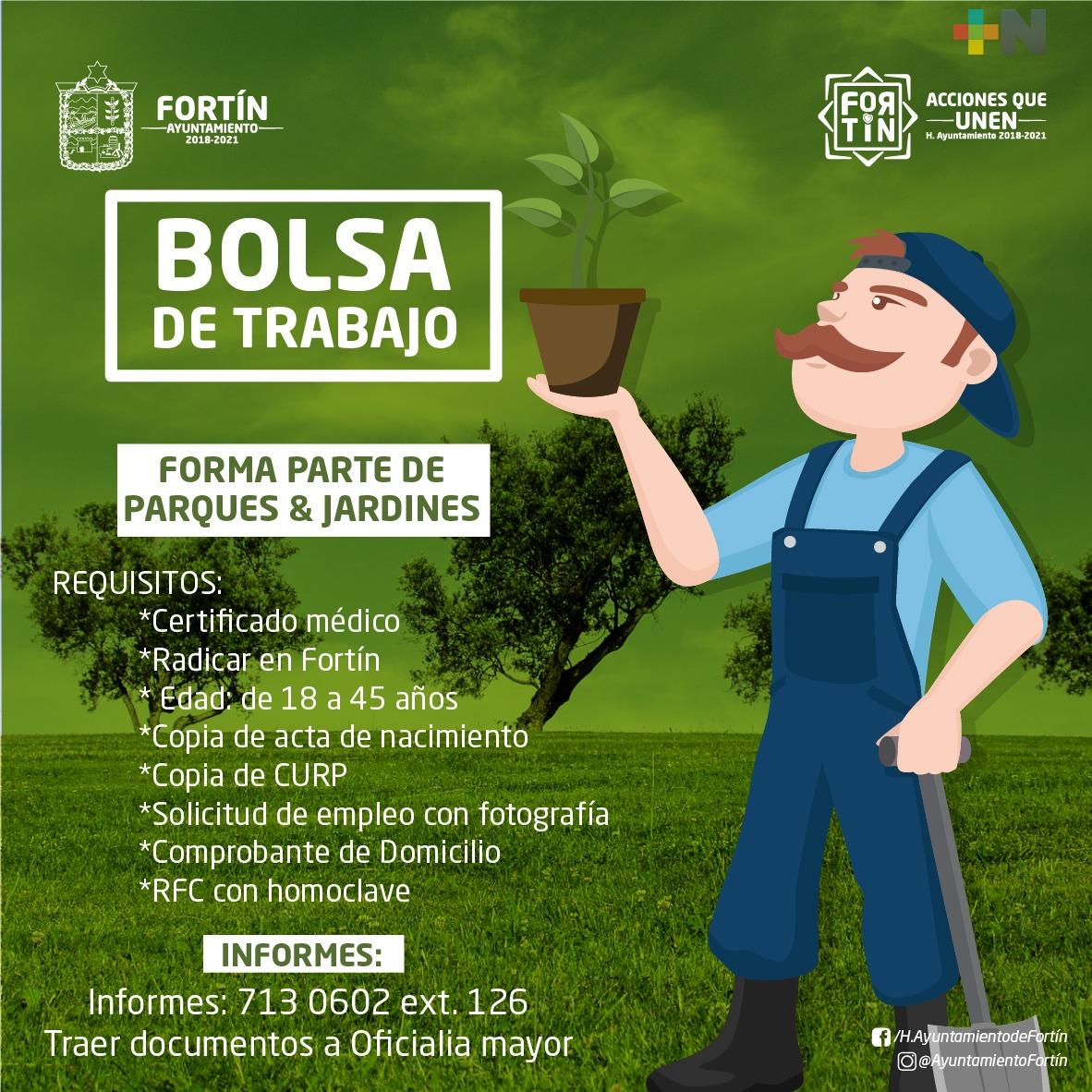 Ofrecen empleo temporal para dar mantenimiento a áreas verdes