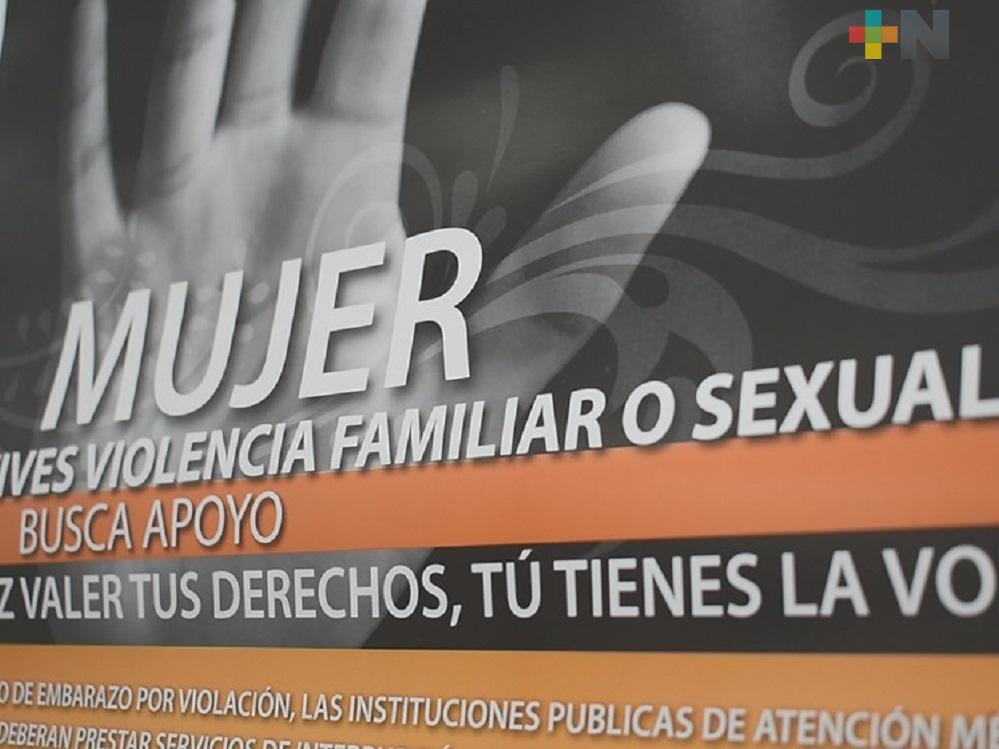 Instituto de la Mujer de Tantoyuca solicita a familias contener violencia durante contingencia