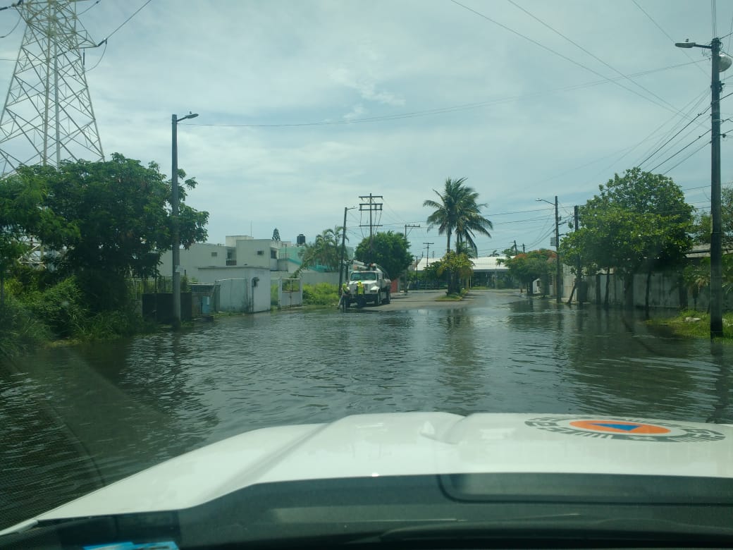 Una persona fallecida y caída de árboles, saldo de lluvia y viento que azotó a diversos municipios de Veracruz