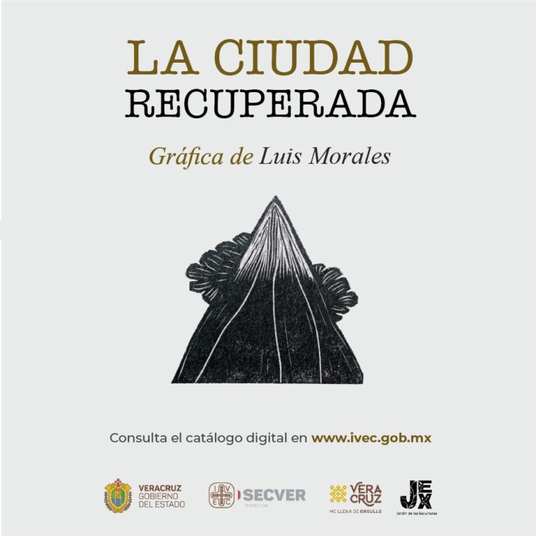 La ciudad recuperada, libro gráfico de Luis Morales,   disponible en catálogo digital