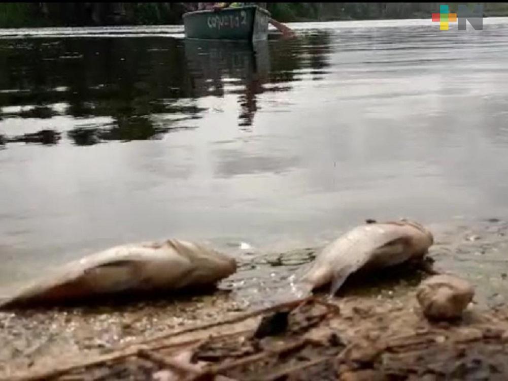 Basurero de Villa Allende sí tiene que ver con mortandad de peces: Especialista