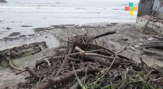 Palizada y basura en playas de Boca del Río