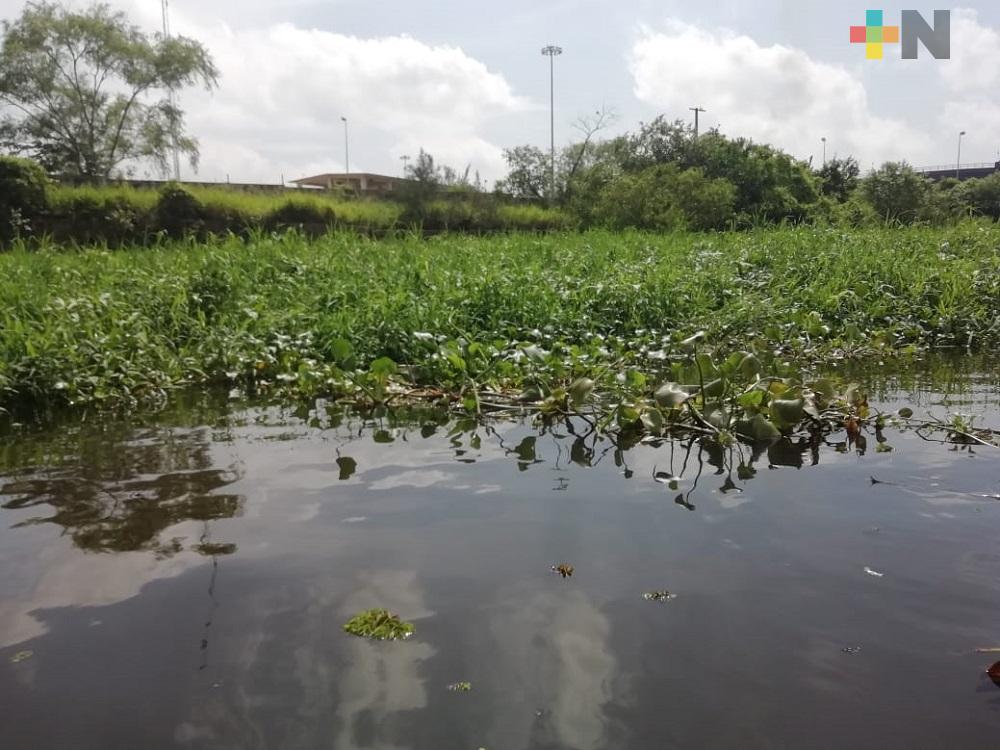 Pescadores de Minatitlán denunciaron contaminación al río Coatzacoalcos