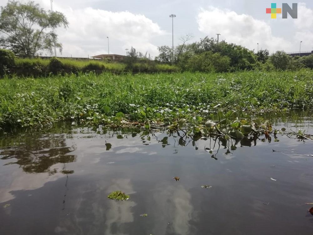 Pescadores  de Minatitlán denunciaron contaminación al río Coatzacoalcos