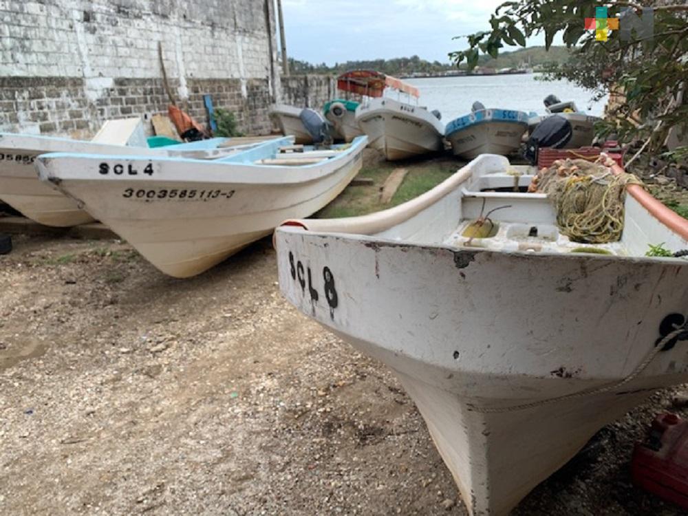 Por pandemia, pescadores de la zona sur de Veracruz reciben apoyo de gobierno federal