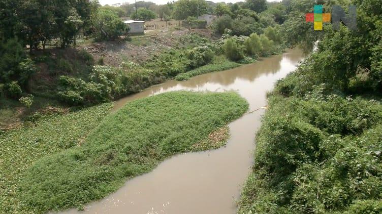 Autoridades de Medellín pendientes por posible crecida del río Jamapa